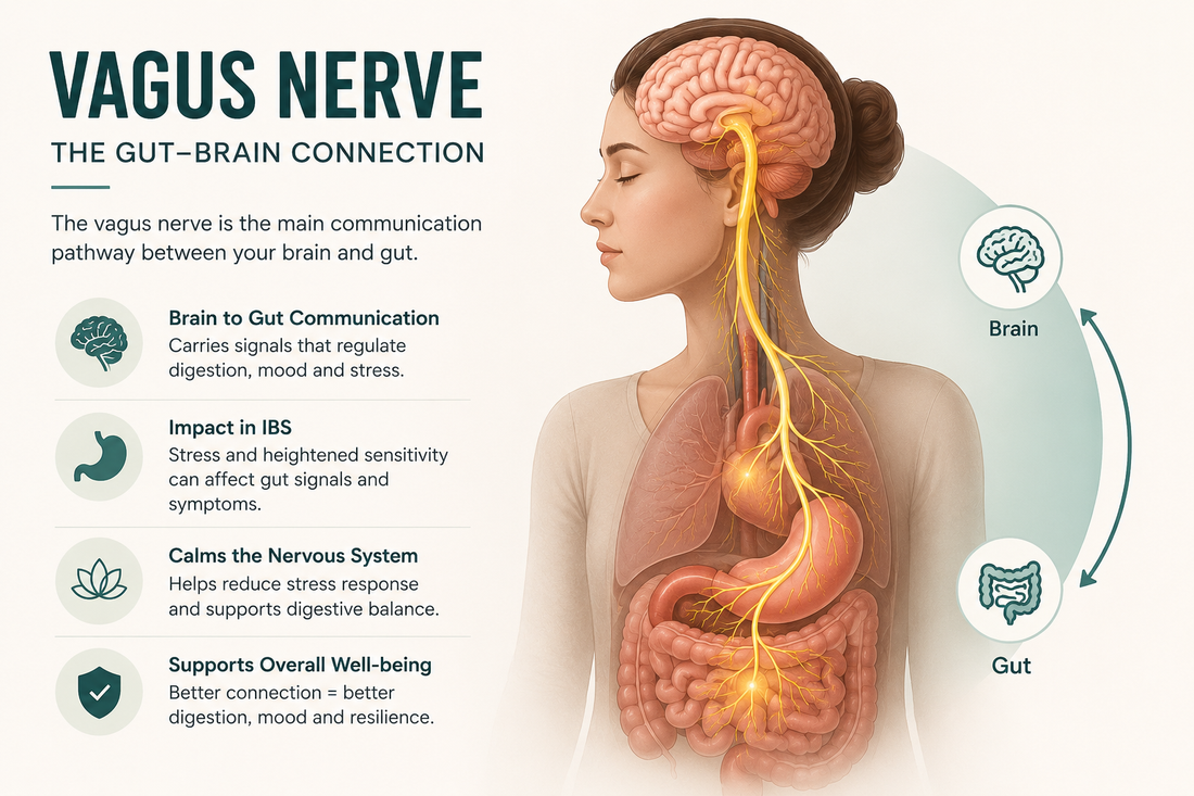 Vagus Nerve Kya Hai Aur IBS Me Iska Kya Role Hai?