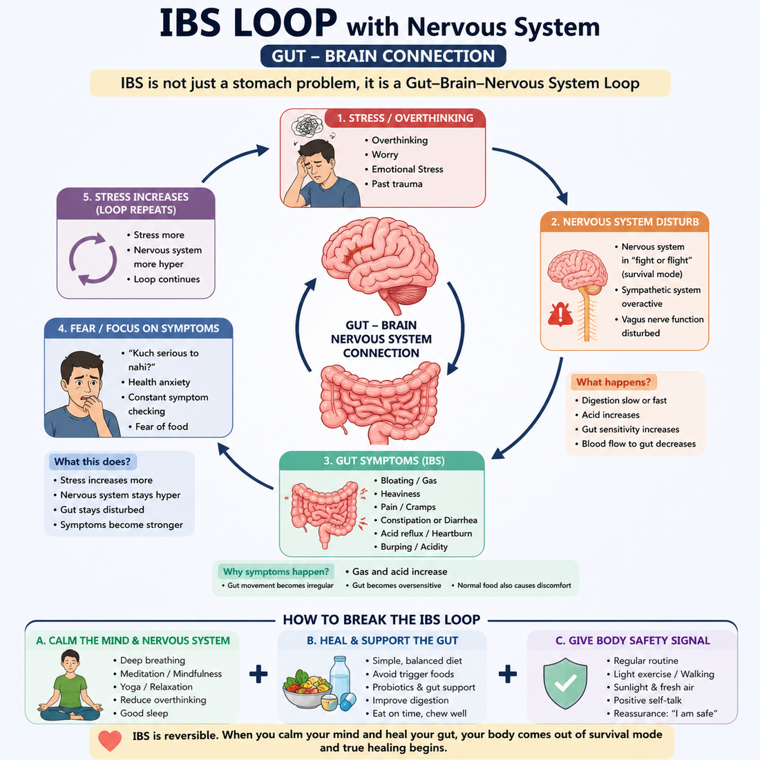 IBS Loop: Kaise Nervous System aur Gut milkar Symptoms banate hain