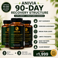 ANIVIA 90-DAY GUT–MIND RECOVERY STRUCTURE