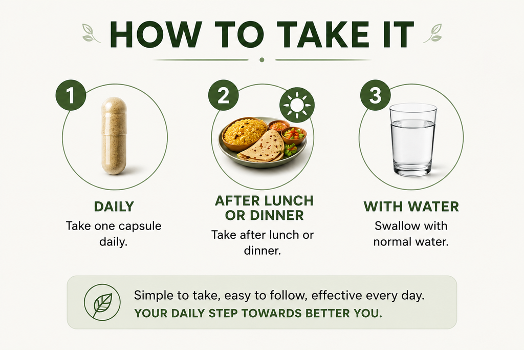 ANIVIA 90-DAY GUT–MIND RECOVERY STRUCTURE