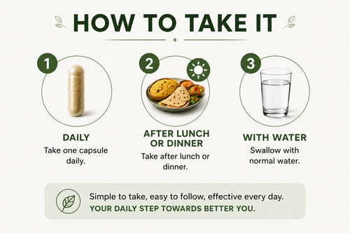 ANIVIA 90-DAY GUT–MIND RECOVERY STRUCTURE